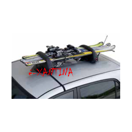 SKIMAG 3